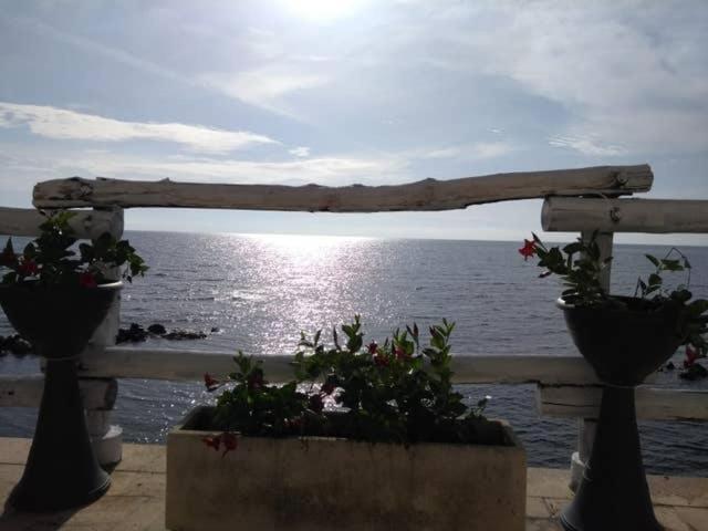 Al Chiaro Di Luna Resort Borgo Pantano ภายนอก รูปภาพ